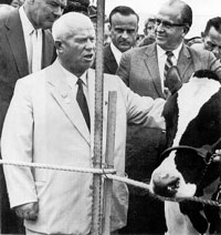 Советский лидер и американский бычок: кто кого? Посещение Н. Хрущевым фермы в штате Айова