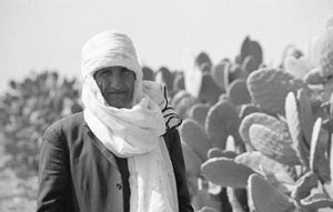 Современный житель Туниса