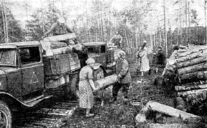 Женщины Москвы на заготовке дров. 1942 г.