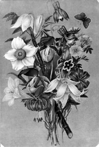 Букет из сибирских цветов. П.И.Борисов. Акварель. Середина XIX в.