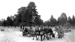 Остяки на нартах запряженных оленями. Из фотоархива РЭМ