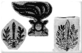 Эмблемы ардити