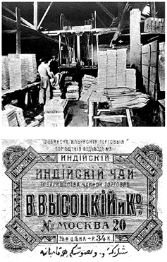 На чаеразвесочной фабрике в России. Упаковка пачки чая. «В.Высоцкий и Ко» (Россия). Начало ХХ в. 